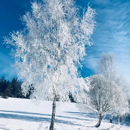 Parlesak アパート