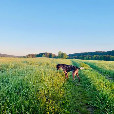 Parlesak Huntirov (Usti nad Labem)