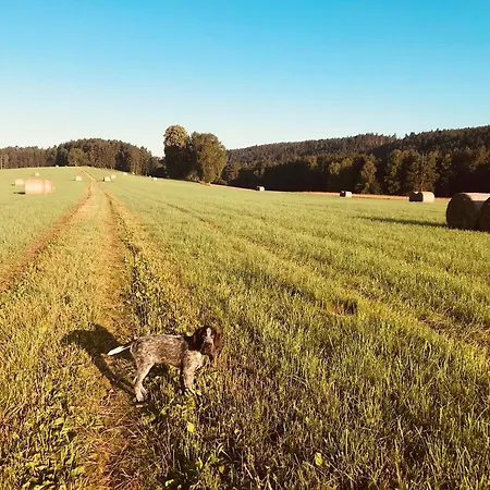 アパート Parlesak *