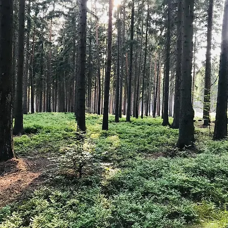 アパート Parlesak *